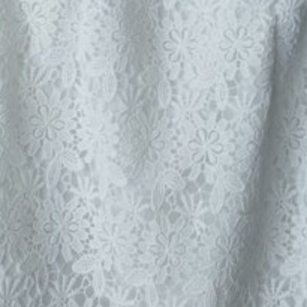 Sleeveless lace sheath